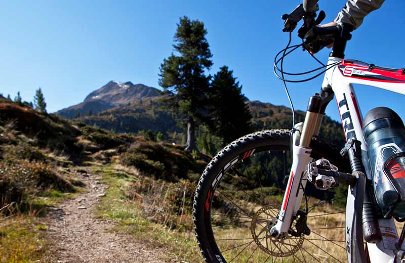Mountainbike e bici