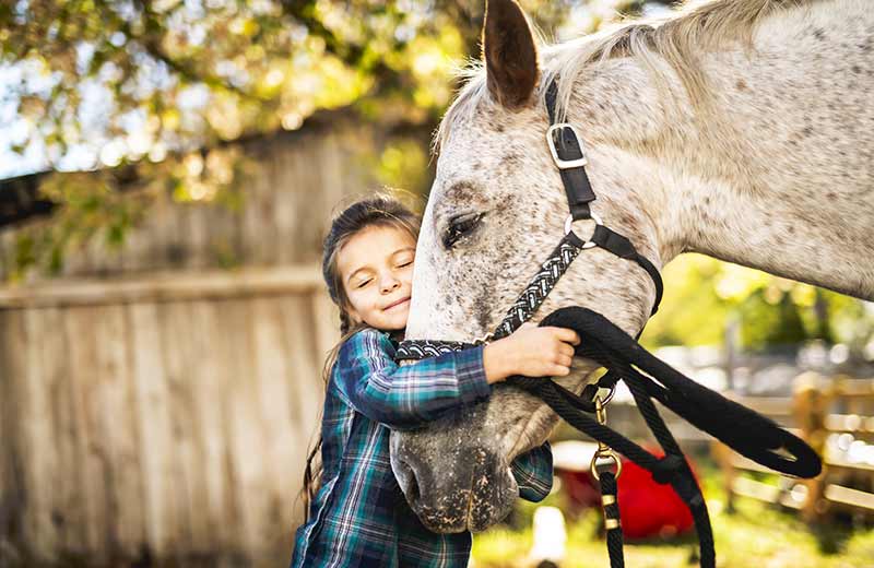 Vacanze in agriturismo