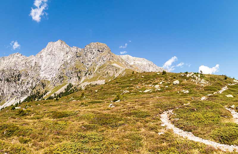 Alla cima Grande Orecchio