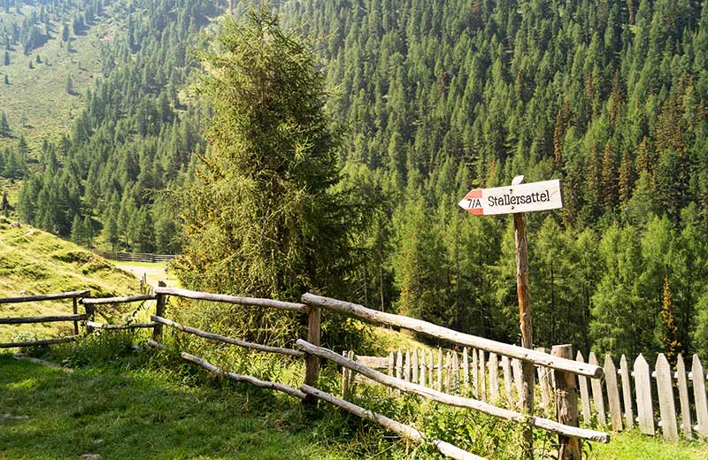 Escursione alla Malga Staller